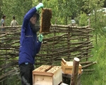 Still image from MCR - Tree Nursery - Bees Cutaways